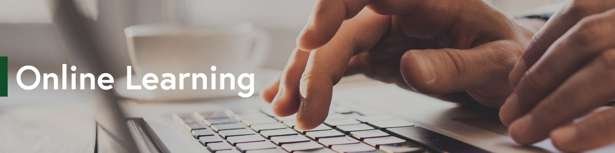 Online Learning