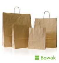 Kraft Carrier Bag with Twist Handle 12x17x16inch